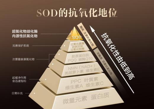 清仓价低至1元每条澳新康SOD刺梨粉超氧化物歧化酶 商品图10