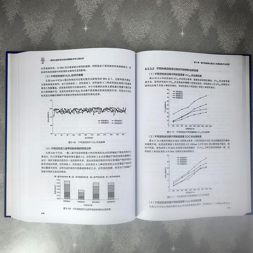 湖库水源饮用水安全保障技术与工程应用 商品图10