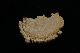 AN1209-40 西马原材 8.96g