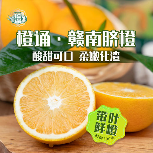 ZN江西赣南脐橙大果9斤彩箱装【分仓直发，72小时发货，周末节假日不发货】 商品图2