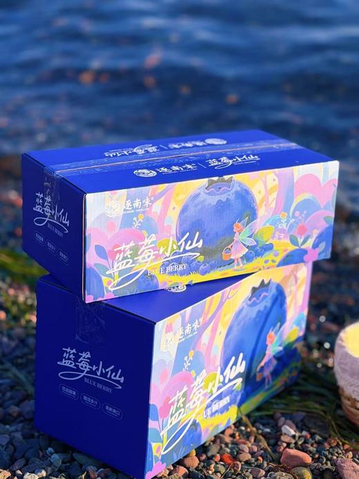 【抚仙湖 湖边蓝莓 】优选甜果 甜润多汁 清凉果香 迸发充溢果汁 露天种植自然纯净 商品图5