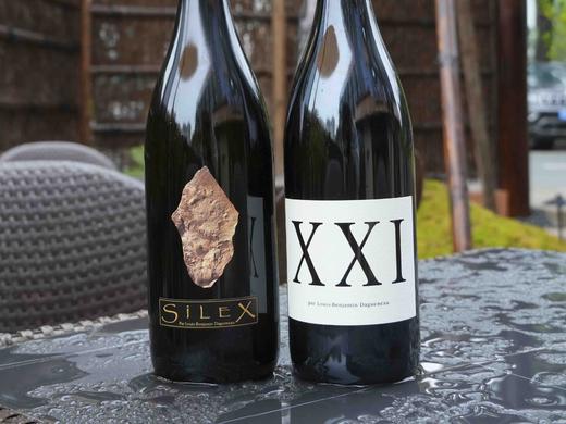 法国迪迪耶达格诺2022年燧石长相思干白/2021年XXI特酿干白 商品图5