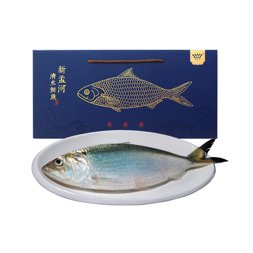 【直送到家】新孟河清水鲥鱼 鲜活出水 现捕现捞 多种规格实物礼盒包邮到家 商品图9