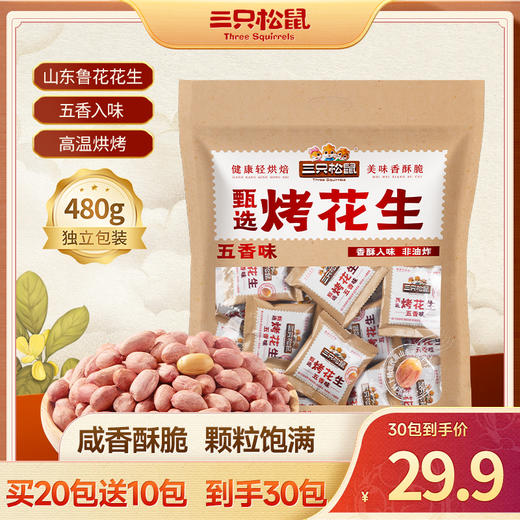 三只松鼠 五香烤花生480g（16g*30包） 商品图0