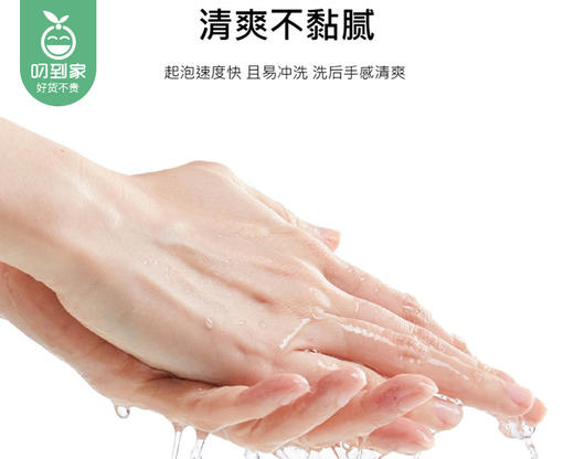 白蘭雅致亲肤洗手露/1瓶（500ml）限用日期：28年7月 商品图2