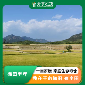 梯田丰年，一亩家膳|家庭生态粮仓|我在千亩梯田 有亩田