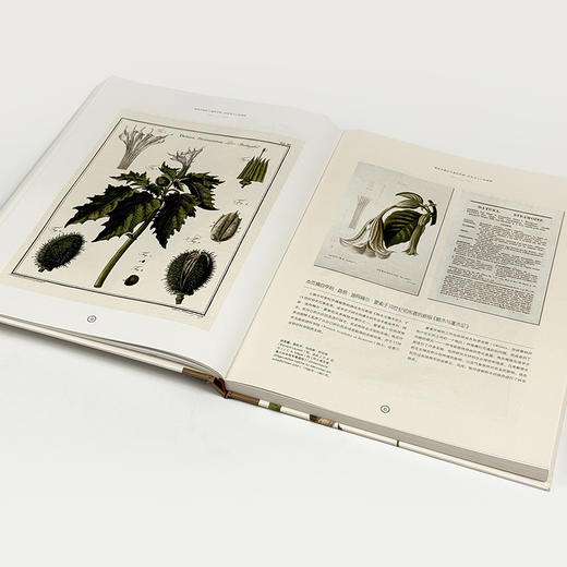 植物珍宝  一部人类探寻珍稀植物的冒险故事集 商品图4