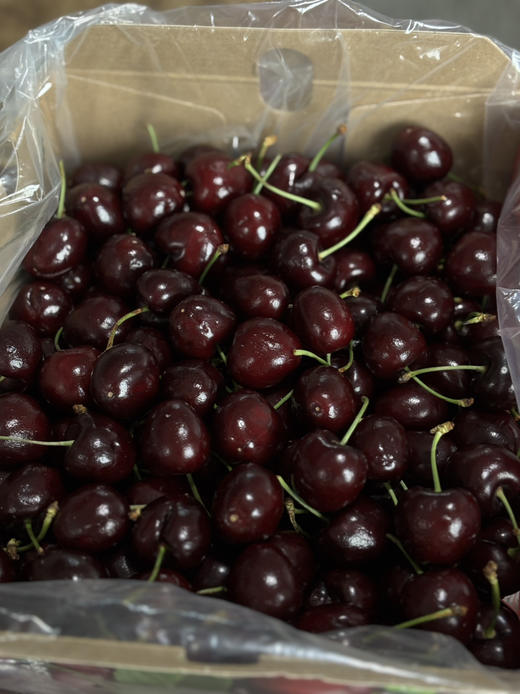 3JD黑车到货！脆嫩鲜甜 非常过瘾～ 商品图4