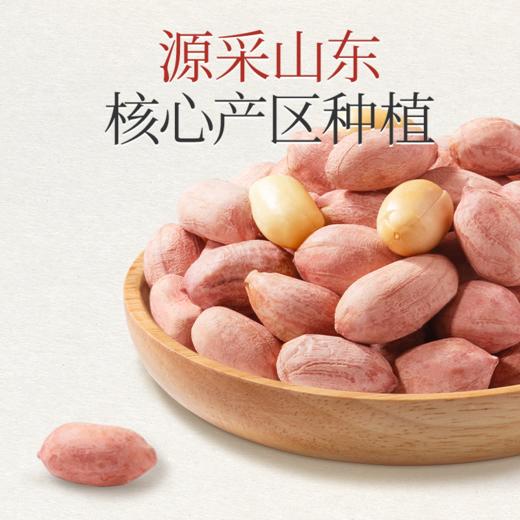 三只松鼠 五香烤花生480g（16g*30包） 商品图7