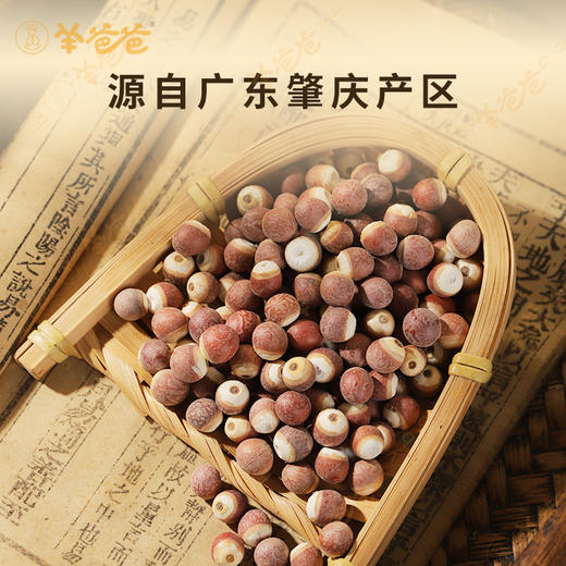 新品【芡实】粉嫩易煮 软糯清香 煮粥煲汤好搭子 商品图2