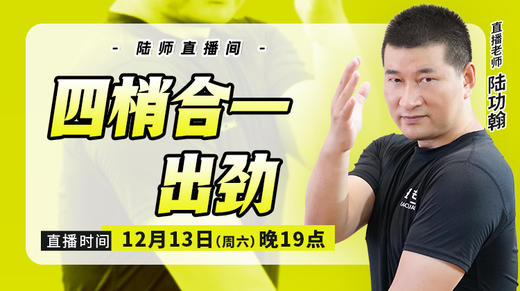 【12月13日】四梢合一出劲 商品图0