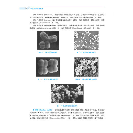 微生物学与免疫学 第2二版 全国高等医药院校药学类专业第六轮规划教材 窦洁 主编 供药学类及相关专业用 中国医药科技出版社 商品图4