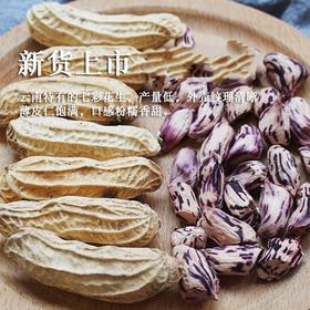 云南高山七彩花生500g 带壳熟彩色花生 新鲜晒干