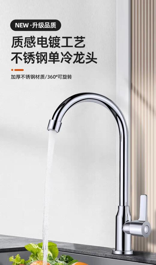 6292海牙单冷轴承大弯-电镀 商品图3