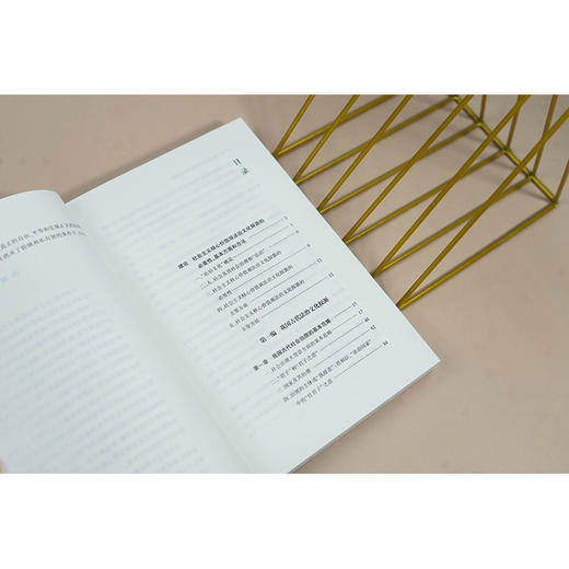 社会主义核心价值观的法治文化探源 严存生著 法律出版社 商品图4