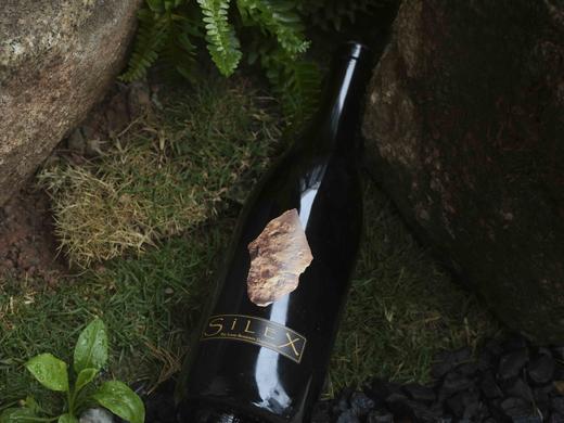 法国迪迪耶达格诺2022年燧石长相思干白/2021年XXI特酿干白 商品图8