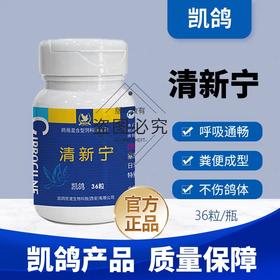 凯鸽清新宁胶囊赛鸽信鸽子保健日常