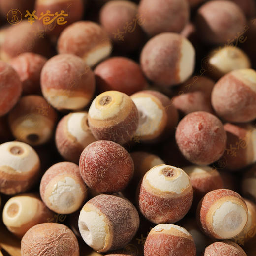 新品【芡实】粉嫩易煮 软糯清香 煮粥煲汤好搭子 商品图10