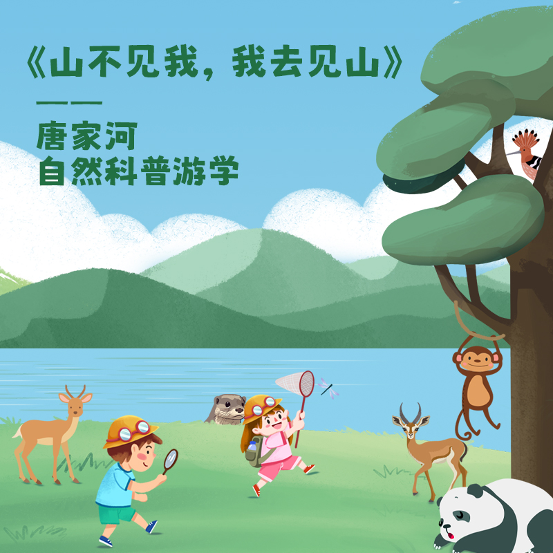 新年开营1.2-1.3【2天1夜唐家河自然科普独立游学】野生动物天堂，深入森林探寻濒危珍稀野生动物！跟踪兽道，测量采集动物踪迹，野外红外相机实践，对话高山向导！