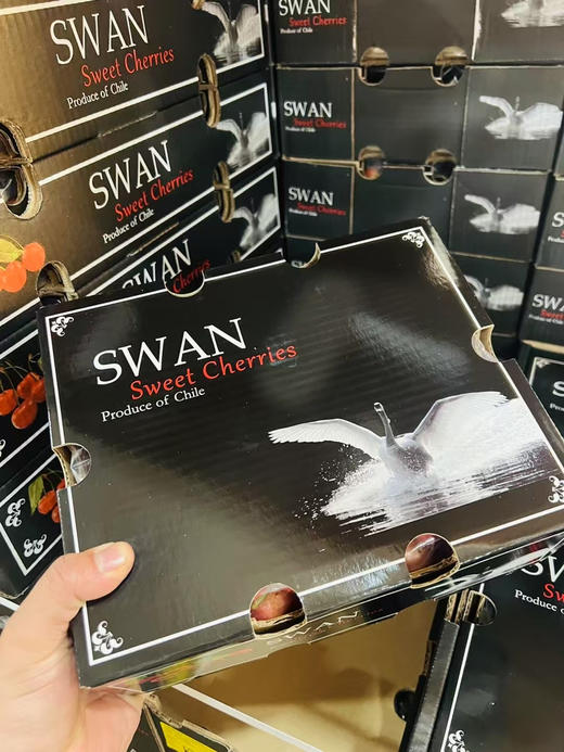 黑天鹅斯凯拉蕾、硬、脆、甜 商品图2