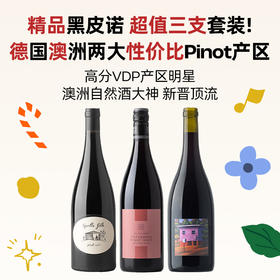 企鹅市集|精品黑皮诺3支装 德国VDP产区明星村级酒款 澳洲自然酒大神威廉唐尼 新晋顶流日月星辰 Pinot价格洼地组合！