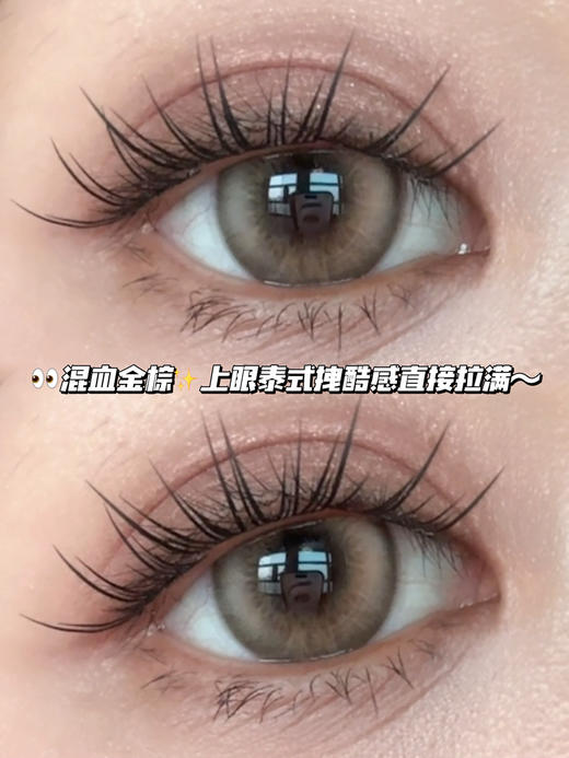 Thai泰系辣妹金棕·日抛·六片装 商品图0