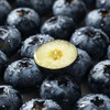 云南花香蓝莓|蓝莓界“天花板”，完胜进口货！甜脆有花香 、野味浓郁 商品缩略图1