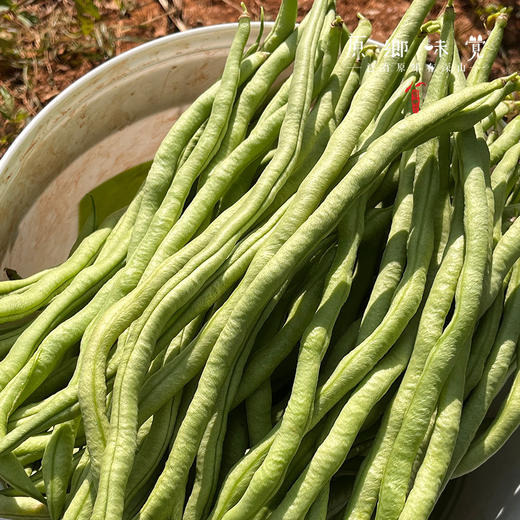 有机四季豆（基地直发-顺丰包邮）｜3斤/箱，来自云南楚雄，生产者：庄代康【合作生产，公平贸易】 商品图4