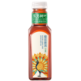 东方树叶 菊花普洱 茶饮料500ml