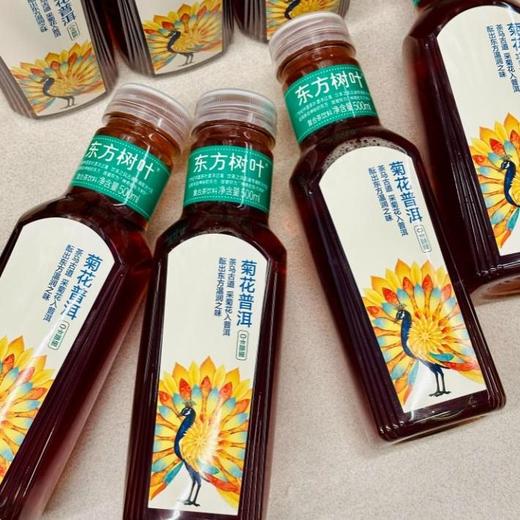 东方树叶 菊花普洱茶500mlx 15瓶（箱） 商品图3