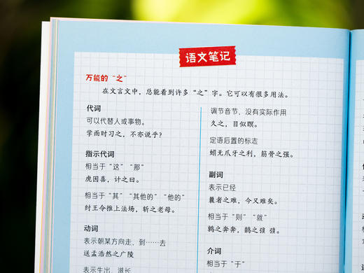 《你好，小学》（全系46册）|紧跟新课标，故事牵引，漫画图解，知识好玩秒懂|一套搞定小学6年，语数科英全逆袭必备|品质保证，孩子爱读，妈妈放心 商品图4