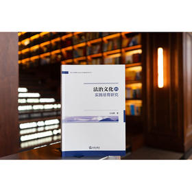 法治文化的实践培育研究 王金霞著 法律出版社
