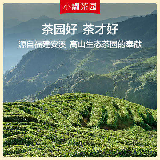 【签批价】小罐茶园 彩标系列铁观音茶2.0版 110g 商品图3
