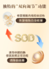 清仓价低至1元每条澳新康SOD刺梨粉超氧化物歧化酶 商品缩略图12