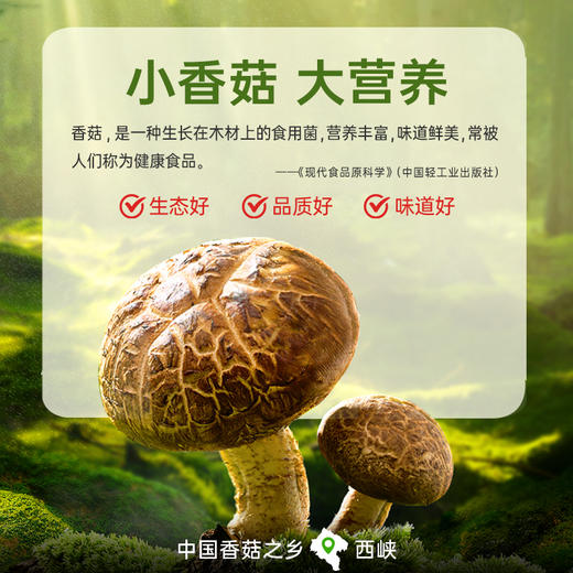 【供】菌菇牛肉酱1kg 商品图3