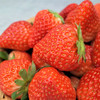 【丹东草莓】香甜软嫩顺滑，甜中略带一丝酸，9甜1酸，颗颗饱满，甜奶香气浓郁 商品缩略图6