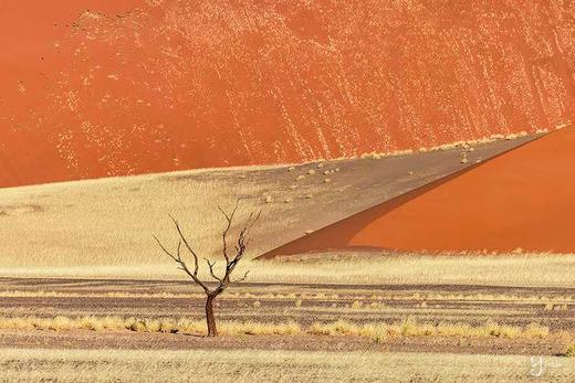 纳米比亚“星辰大海”丨红沙漠、箭袋树星空、斯皮兹考比山星空、鲸海湾出海、三明治湾沙漠冲沙12天摄影团 商品图9