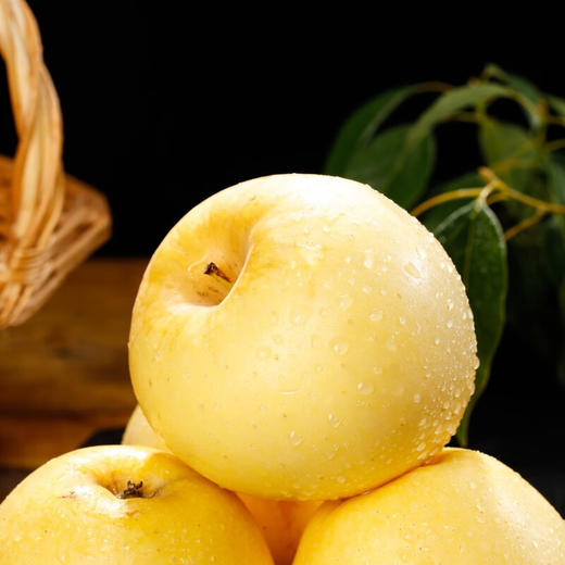 建宾黄金维纳斯苹果4.5斤礼盒装【分仓直发，72小时发货，周末节假日不发货】 商品图3