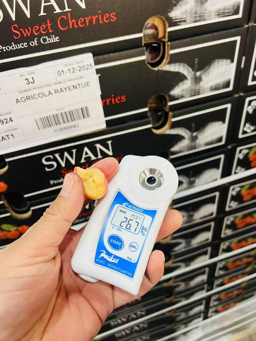 黑天鹅斯凯拉蕾、硬、脆、甜 商品图3