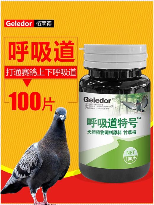 【呼吸道特号片】呼吸道清理（格莱德） 商品图0