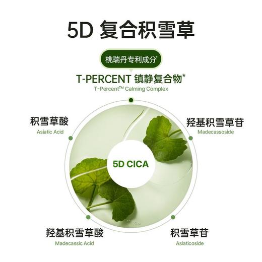 桃瑞丹 积雪草面霜80ml 商品图1