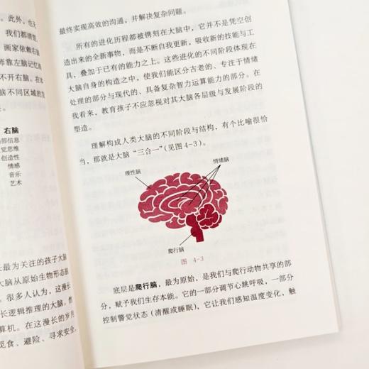 官网 请这样对待孩子的大脑 阿尔瓦罗 毕尔巴鄂 脑科学原理 情商自信创造力培养 亲子关系 家教育儿书籍 商品图4