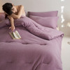 【热卖推荐】自然醒雪尼尔10A中科抗菌被被子被芯单人双人被LFS 商品缩略图3