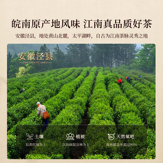 正山堂 泾上红·和 特级红茶骏眉中国安徽正宗蜜香多叶茶叶罐装50g 商品图2