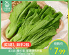 买1送1霜打菜-享通绿色芥菜（300g±15g/包） 商品缩略图0
