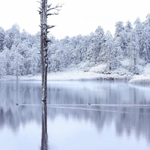 【奇境瓦屋山·青春旅行团】瓦屋山x柳江古镇2日游 商品图2