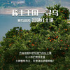 ZN江西赣南脐橙大果9斤彩箱装【分仓直发，72小时发货，周末节假日不发货】 商品缩略图9