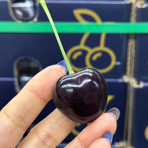 高品【科迪亚】智利空运科迪亚车厘子，新鲜度高，口感甜脆，高光泽度，非常好的一款车厘子！ 商品图1