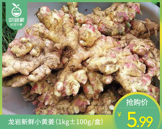 龙岩新鲜小黄姜（1kg±100g/盒） 商品图0