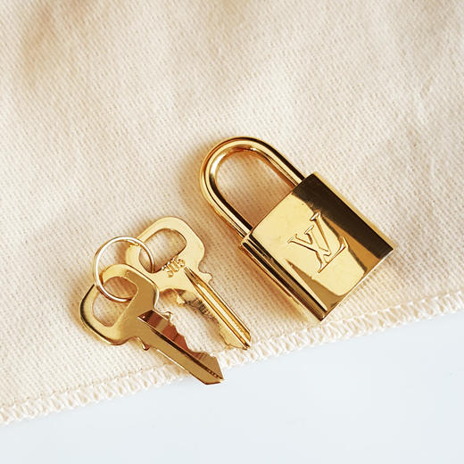 【98新闲置】LV路易威登SPEEDY 25M46977经典老花纹SPEEDY25单肩手提斜挎包女士 071225AK07 商品图2